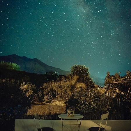 فيلا Casita La Rosa إل باسو المظهر الخارجي الصورة
