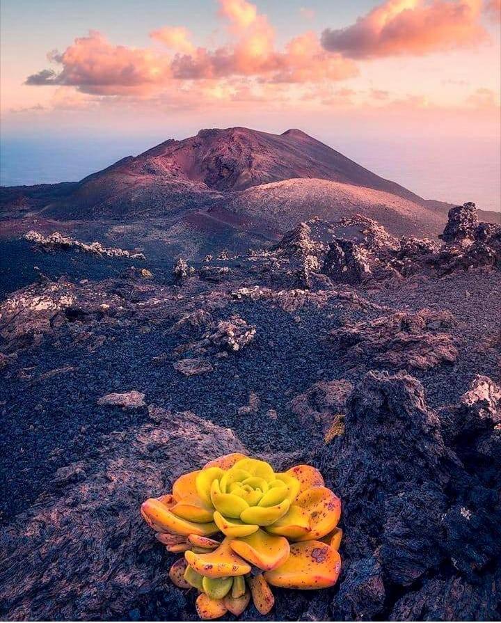 فيلا Casita La Rosa إل باسو المظهر الخارجي الصورة