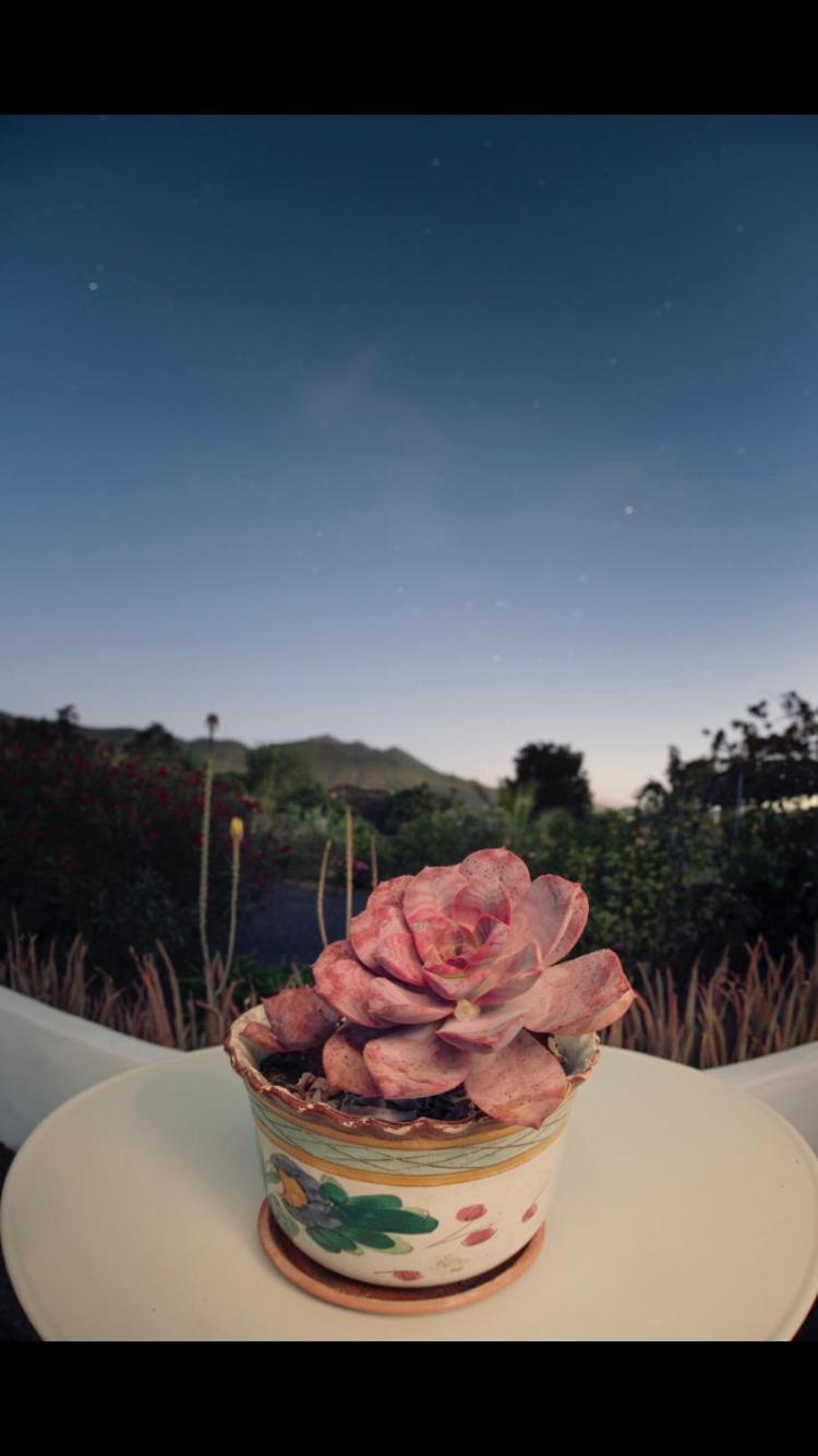 فيلا Casita La Rosa إل باسو المظهر الخارجي الصورة